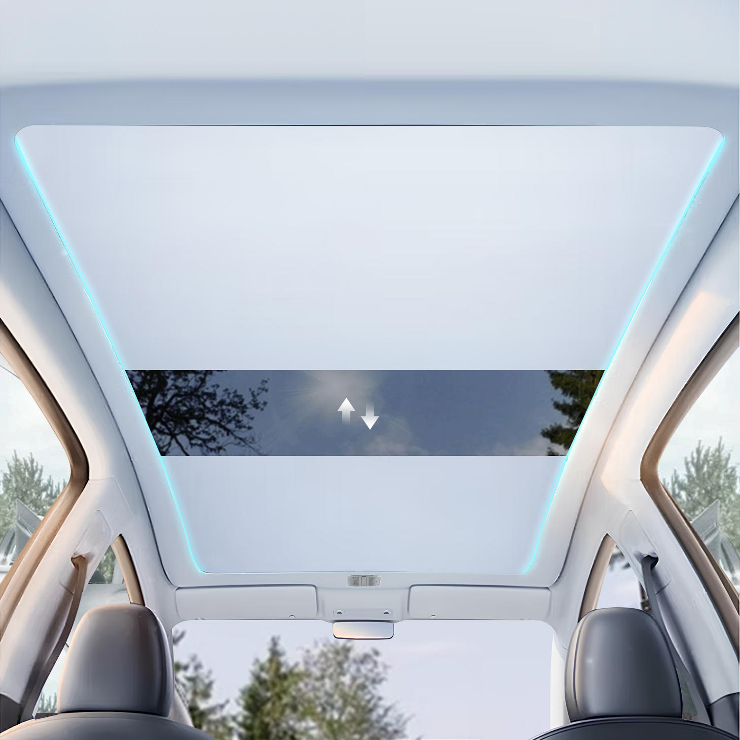 Model Y Juniper Sunshade