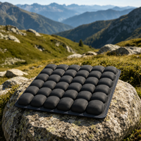 Air Comfort Travel Cushion