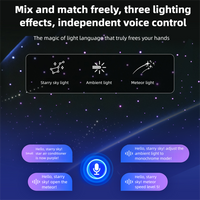 Ctmods Model Y/Cybertruck Electric Sunshade | Smart Power Sunshade with Rolls-Royce Style Starry Roof