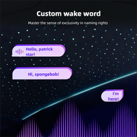 Ctmods Model Y/Cybertruck Electric Sunshade | Smart Power Sunshade with Rolls-Royce Style Starry Roof