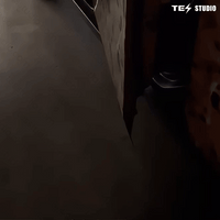 Projection Lights Cybertruck Logo LED Light For Tesla Cybertruck