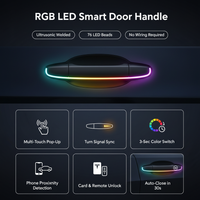 Tesla Model 3 Y RGB LED Door Handle Features - Multi-Touch, Turn Signal Sync, Phone Proximity, Auto-Close